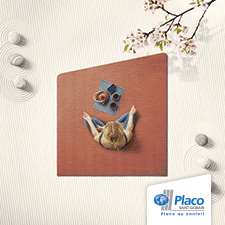 Placo NL 300x300 06/06-11/06-18/06-24/06-26/06